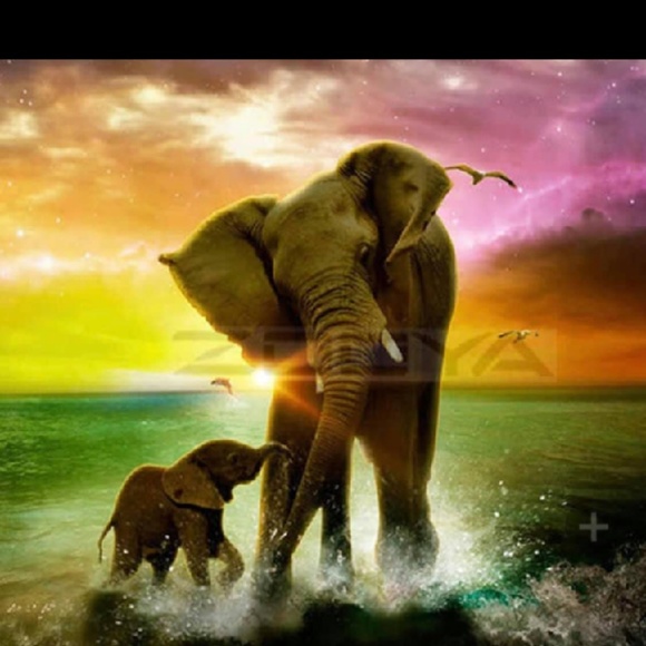 Meet your Posher, Amanda - Picture 1 of 1